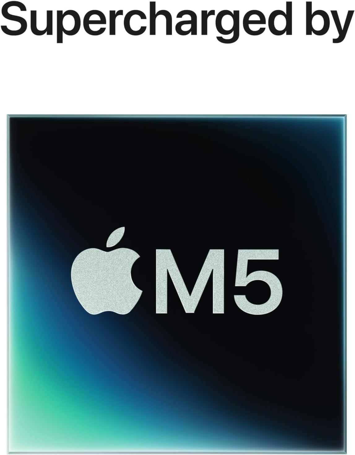 Alternate Image 2